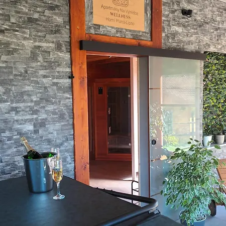 Na Vyhlídce - Wellness Casa de hóspedes Horní Planá