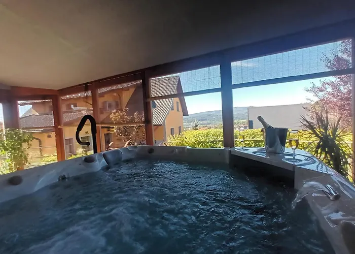 Na Vyhlídce - Wellness Vendégház Horní Planá
